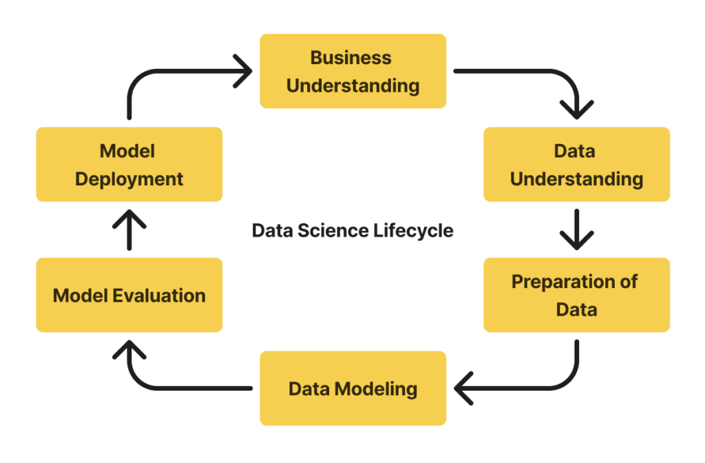 Data Science Lifecycle